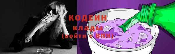 молекула духа Ельня