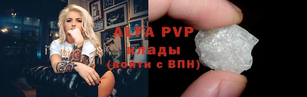 молекула духа Ельня
