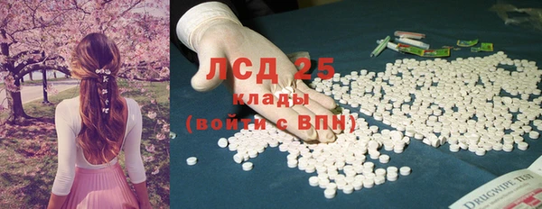 молекула духа Ельня