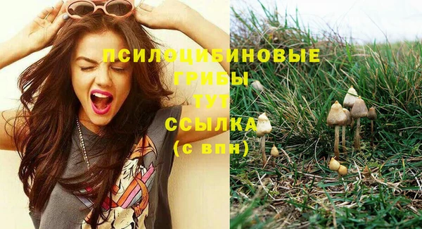мескалин Елизово