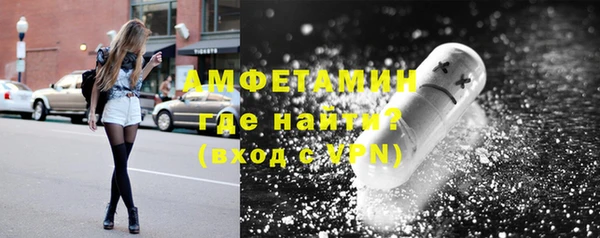 молекула духа Ельня