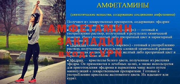 молекула духа Ельня