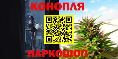 крисы Лесосибирск