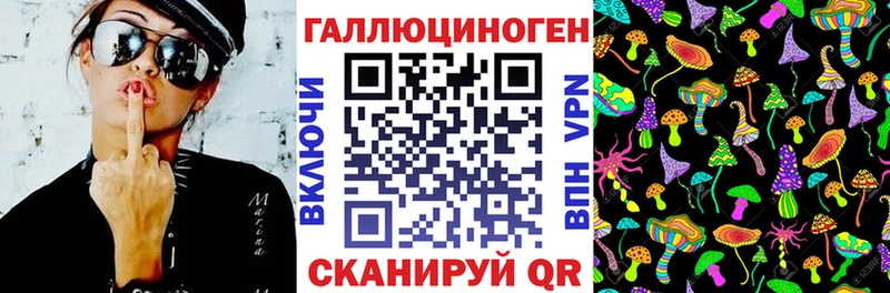 где купить наркоту  Свободный  Галлюциногенные грибы Magic Shrooms 