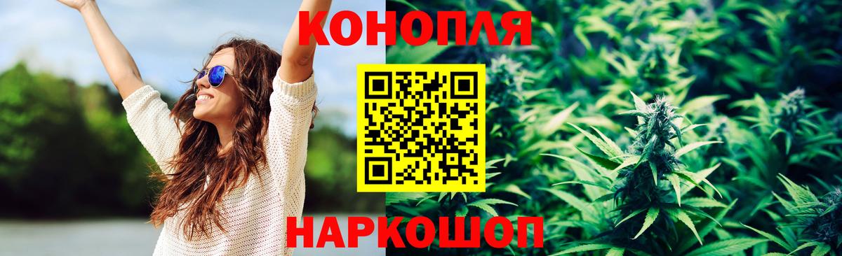 Свободный  Бошки марихуана OG Kush  Канабис гибрид  Вход с VPN  Бошки марихуана семена 